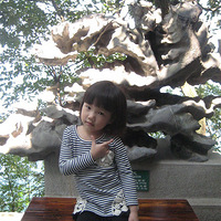 ��С�����Ѵ�������+4��+�ҵĴ���������