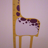 �巵�������