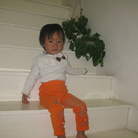 �����ı�����ʹ֮��