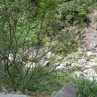 ��ɽˮ���տ�