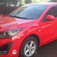 �������ƿ��ǳ�1.6��ҫ���ó�����