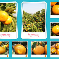 ���������-���Ӻ��ˣ�������ժ�ˣ�