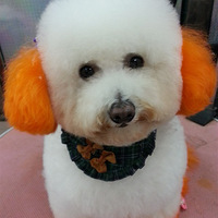 �����г����ͷ