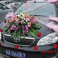 �������ƿ򡿼���ɳ����������Լ��³���ȦȦ����ɼ�