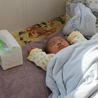 ����̥Ů������ȫ����Ժ���������