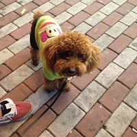 ��㷢���������� ��Ҳ�������