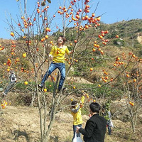 10С�ֶӣ���Ҫ����ҳ��ժ���ӻ㱨