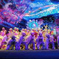 ���ݿ���԰��̨��֮�����������硱