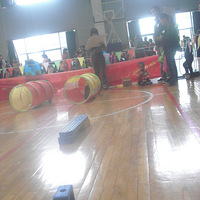 ���������������˶��᡿-����������еĵ�һ���˶���