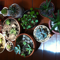 �ҵĶ�������~~~~~