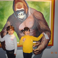 ����������6D������顿+�ּ��º�֮����ľ�У�