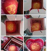 ɹ��Ʒ��ɹƻ����ɹ���ԣ�ɹ����