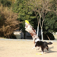 �����ѵú������������ٵ��˷���