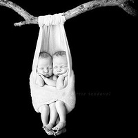 �տ�����ô����˫��̥��  �����ĵ��Ķ�����