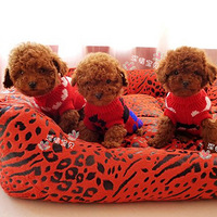 ������ɹɹ�Ҽҵ�С�̹���o(��_��)o���ֿɰ��ȴ���~������ 