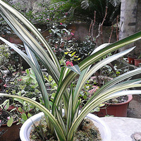 �ҵ��������