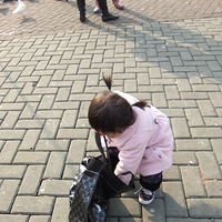 2013����褱���