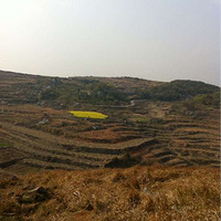 �Ͳ˻�����