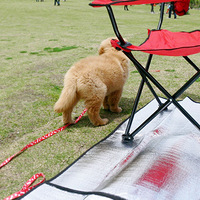 ��ĩ.ɹ̫��,�ŷ���,��ṷ