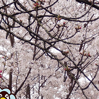 ̤���ͻ�����ʱ��ţ����õ�塢���Ứ�����������λ���Ʒ����