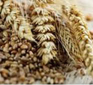 ɨä����ʲô��ȫӪ�����