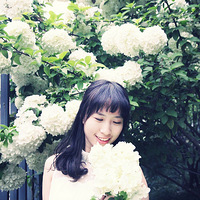 ��Ϧ�临�ŵꡪ����һ�仨����̬������