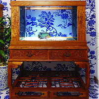 �ٺ�����ˮ��ɭɭˮ��ר���� 