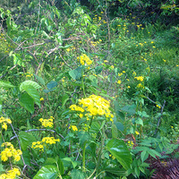 Сʱ���ζ����һֱ���ڡ���