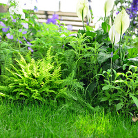 ���ֵ������Լ���---��������