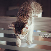 ����è�ռǡ�17¥������2013.5.15