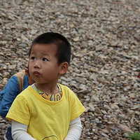 ���������ǣ�Ұ��ඡ���