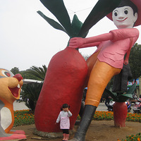 ��Ҫ�������Ӿ��ֲ�+CC