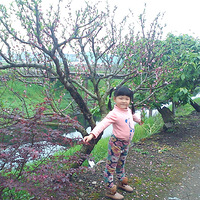 ����Ҫ�������Ӿ��ֲ���+�μ�