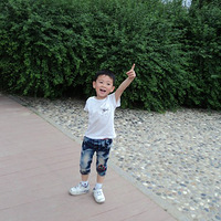 �ȱ�ģ����+��������