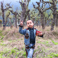 ���ȱ�ģ���㡿+��������СP��