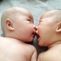 ������Ҫ�������Ӿ��ֲ�����������