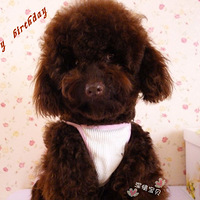 ��������֪���� �Ҽҿ��ȱ����Ѿ�1���� ף���տ��֣�����������