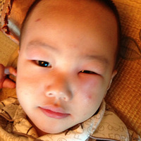 ���ӱ���֪������ҧ��