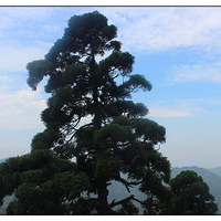 �������С�����ϵ�С�ڽ���