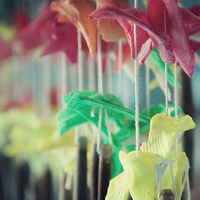 ����ط����������Լ��ĵ���Ƭ...