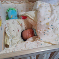 ����Ҫ�������Ӿ��ֲ����������ҵı���