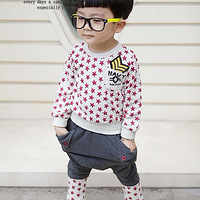 ɹ��Ƭ����