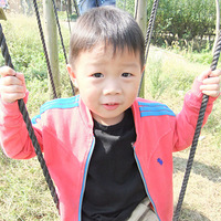 ��Ҫ�������Ӿ��ֲ�-ŵŵ