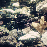 �����㣡�ڶ���  ���ܹ�����