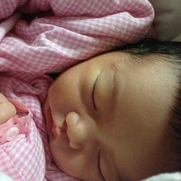 ����Ҫ�������Ӿ��ֲ���