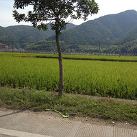 ʮһ�ĵ�һ�졤������������