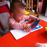 �����ɳ��ǡ�