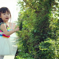 ���죬椵���Щ��