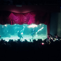 ���˹��������ݿ�ʼ��~~~~~��......