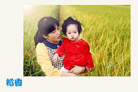 �������������ʳ�¯��